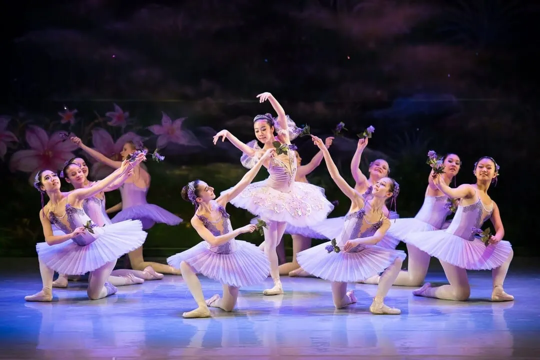 professional ballet ossd