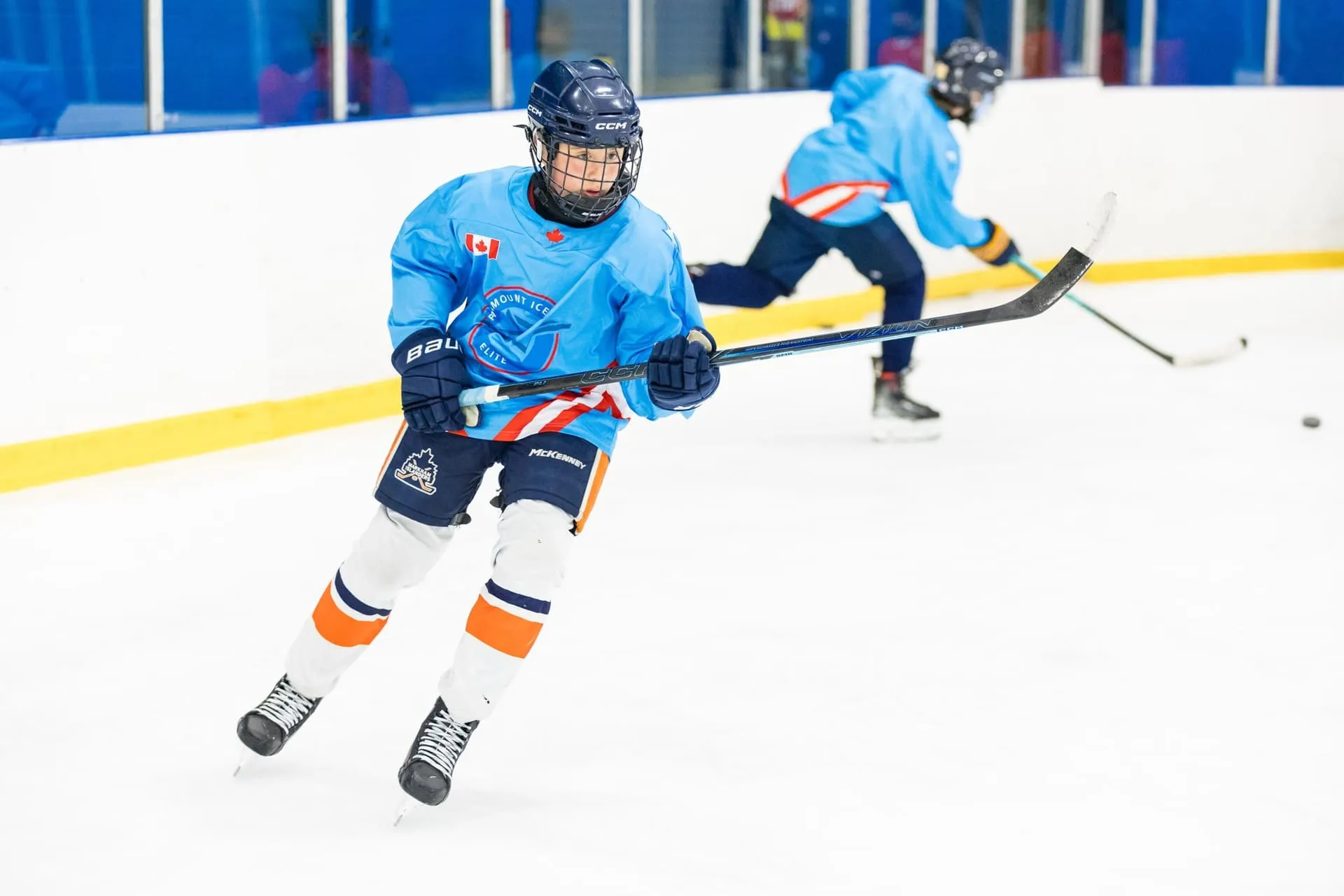 professional hockey ossd
